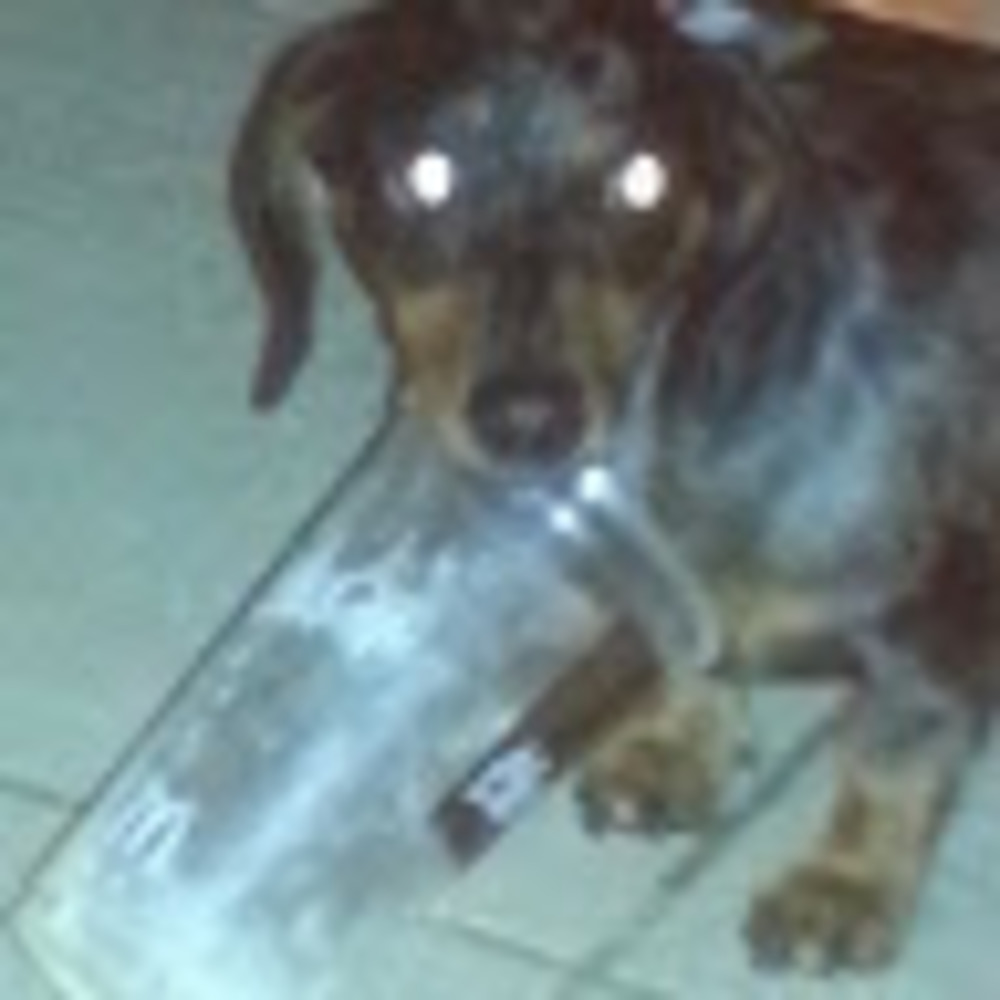 Meet your Posher, Brittany